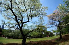 The Shinjuku Imperial Gardens 