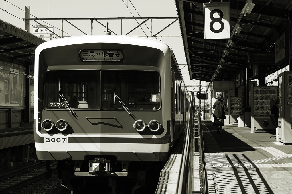 乗り遅れの原因は