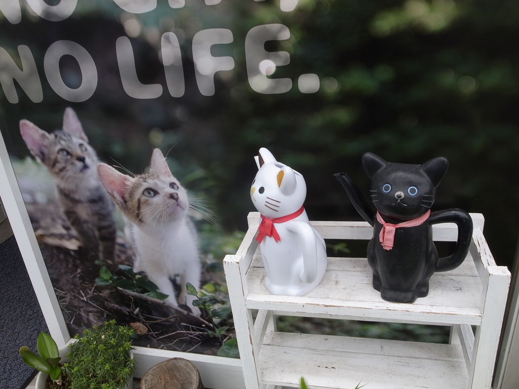 NO CAT NO LIFE