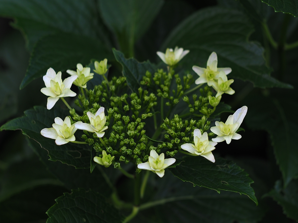 まだ子供なんだな…