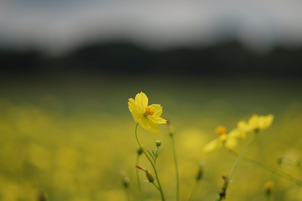 晩夏なのか？初秋なのか？