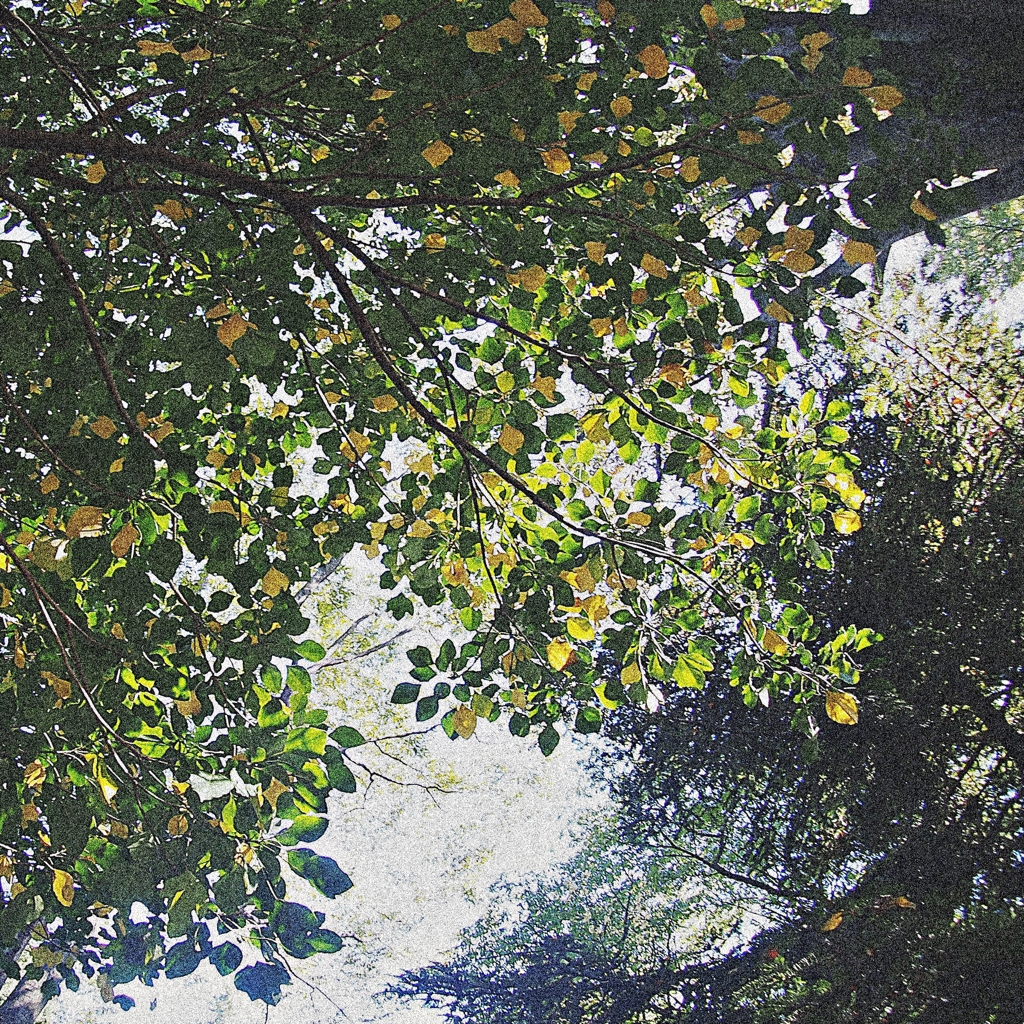 プレデターを探せ