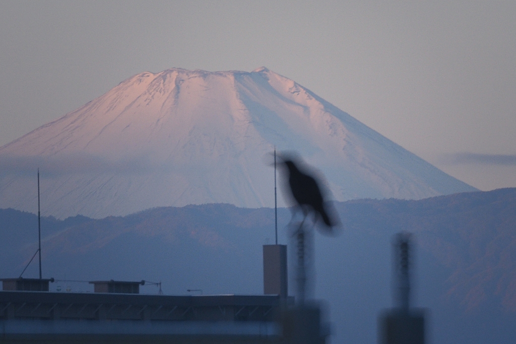 ミラーレンズで富士山 ②