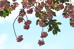 強欲な写真は排除すべし