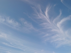 鳳凰 舞う
