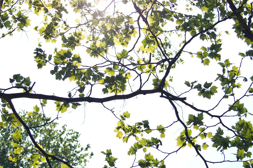 あの頃 君は若かった