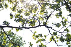 あの頃 君は若かった