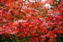 ２２kmチャリの旅②