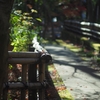 深大寺深沙大王堂側道