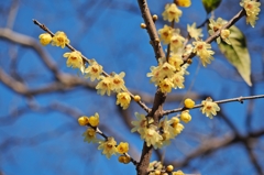 まだ師匠も走っていないのに