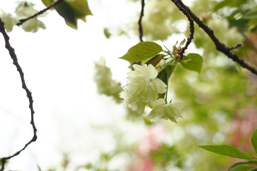 To be in good condition