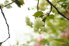 To be in good condition