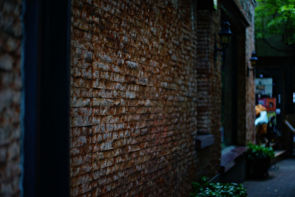 ブラームスの小径