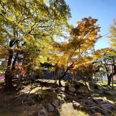 盛岡城址公園