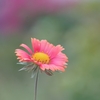 Jupiter 37A 135mm f3.5