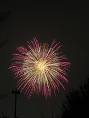 3年ぶりの花火撮影