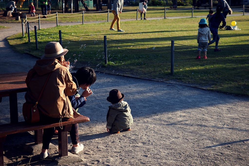 12～40mm F2.8　PENに装着してみた①