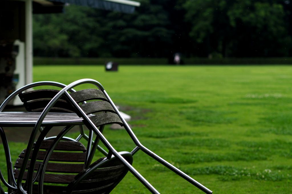 梅雨なんだから