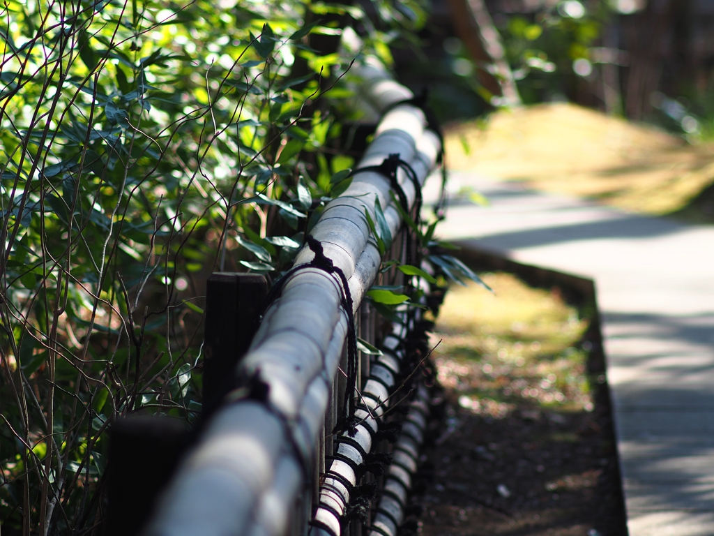 深沙大王堂側道