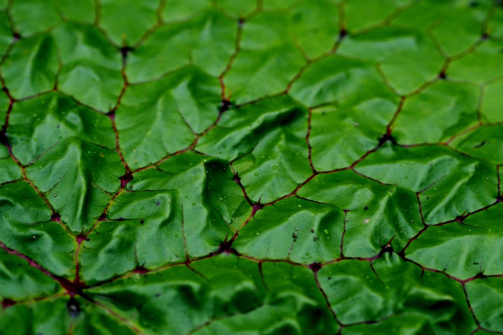 RPG：山岳鳥瞰図