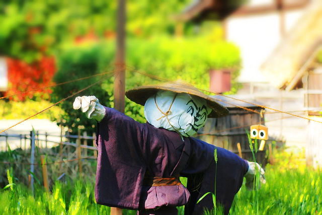 俺は畑のウサインボルト