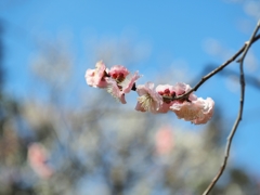 いつになったら晴れるのか？