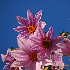 天気晴朗なれど