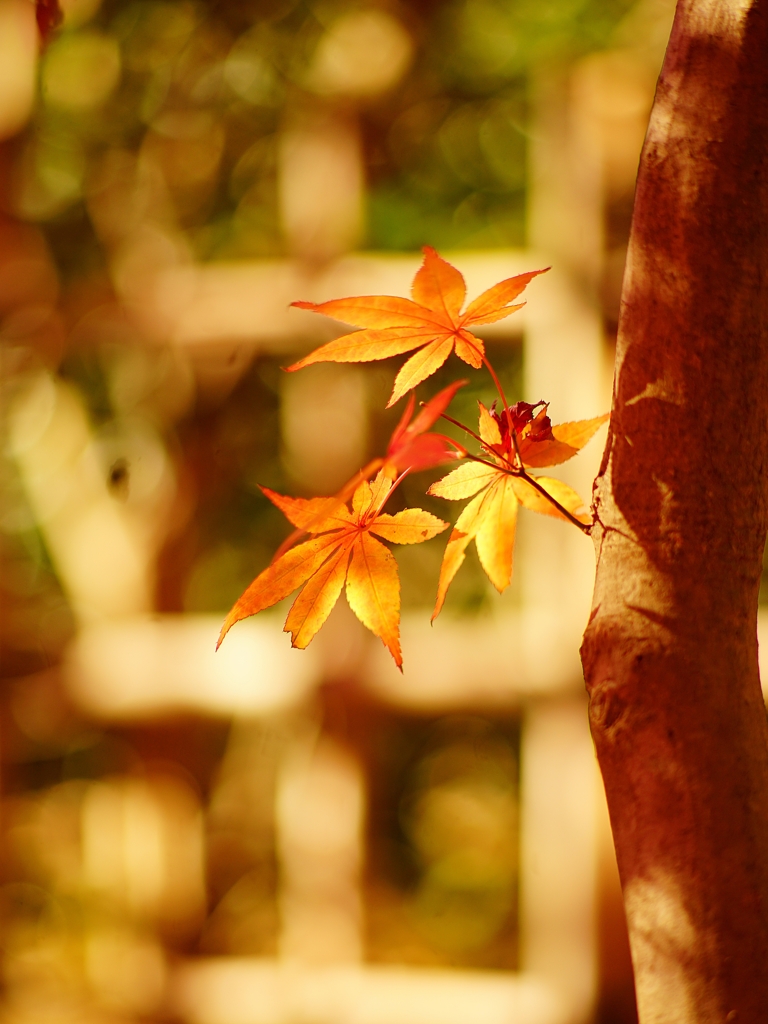 この場所 どうぞ