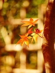 この場所 どうぞ