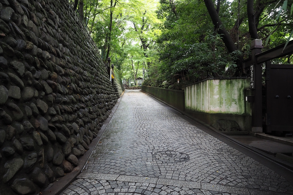 伏兵が潜む切通し