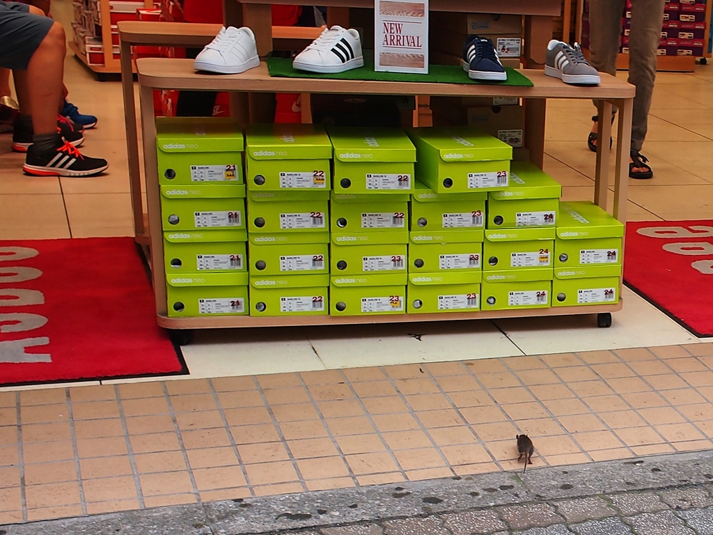 センター街のchu～２