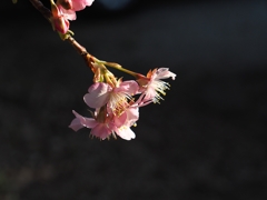 気温前日比－10℃