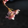 気温前日比－10℃