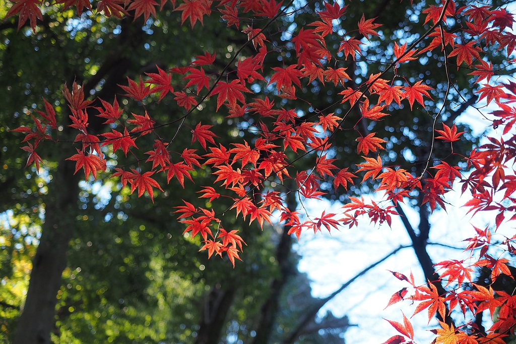 気候変動問題について考えよう
