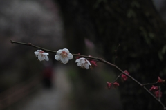 この日の気温 ８℃