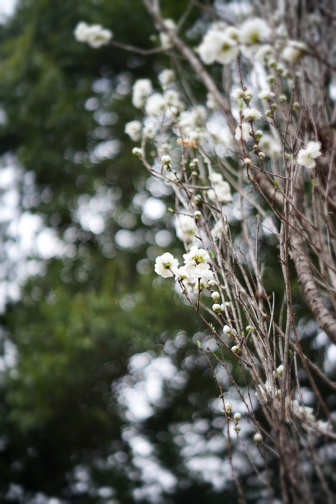 投稿の不具合について