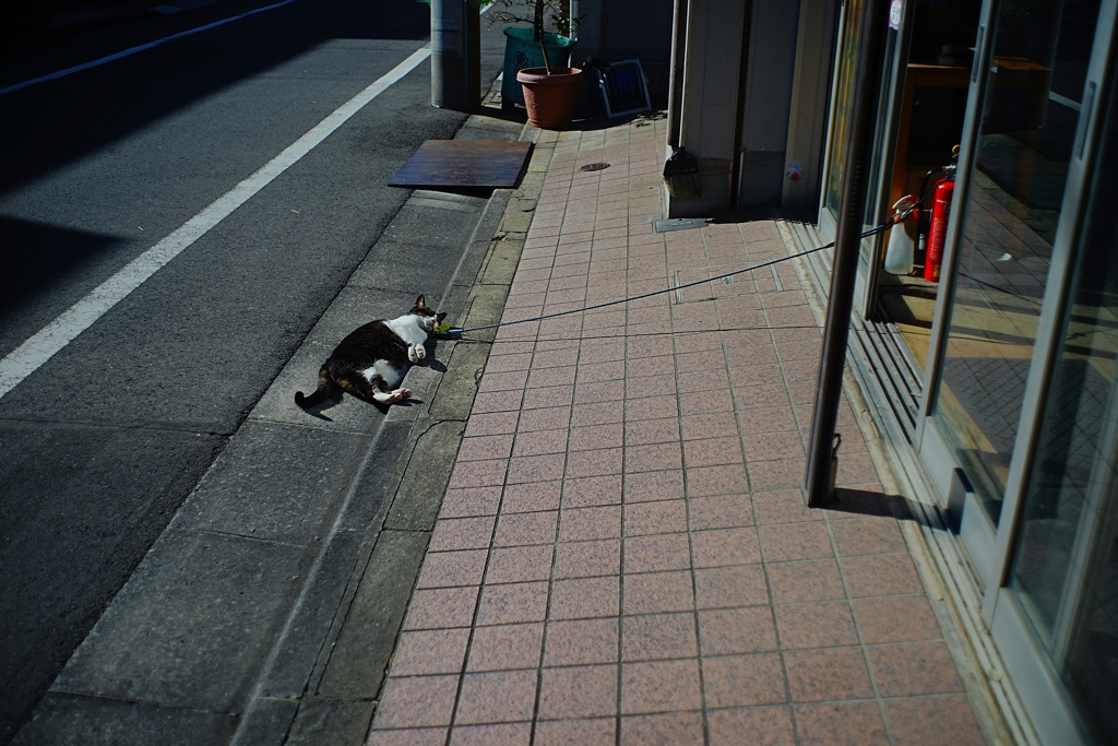 究極のリラックス