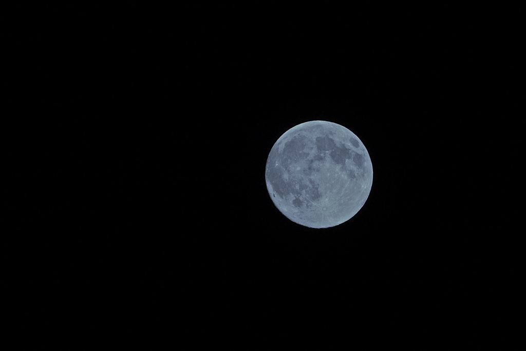 愛してます ティコ ２