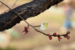 限りない歓びをあなたに