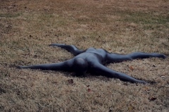 箱根旅行番外編：泥酔