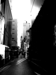 わちふぃーるど新宿ラビリンス店