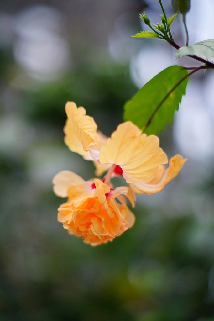 疲れてはいるけれど…