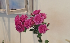 ストロボなんか焚くんじゃね～(#`ﾟд´)ﾉ∴;’･,