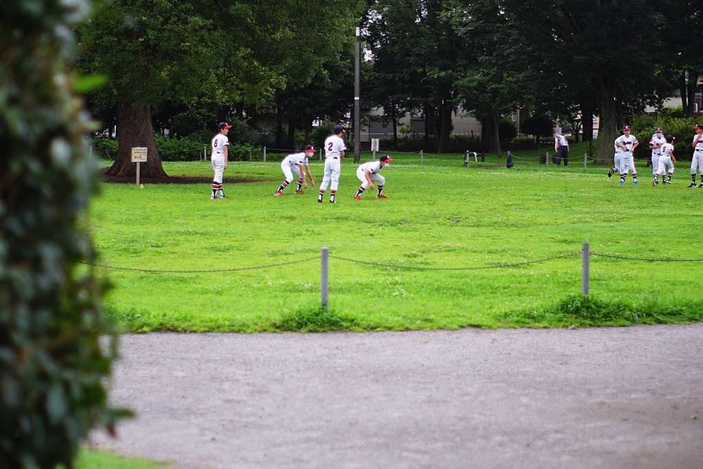 朝の公園は老人だけのものではない