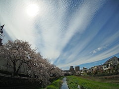 母がいる空へ