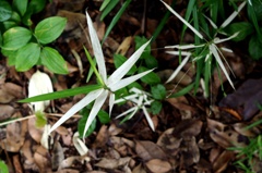 ポイントヘアカラー