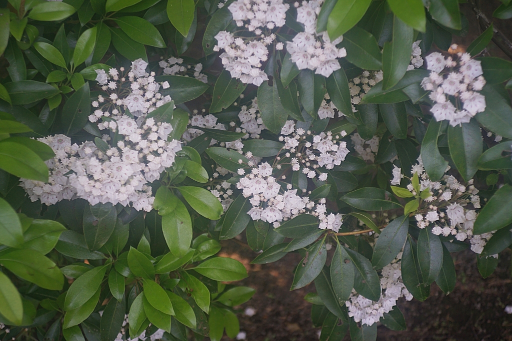 連休以上の混雑