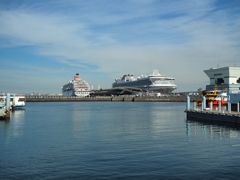 Diamond-Princess & 飛鳥Ⅱ