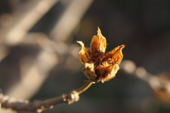 ユパ　ジャンプ！！