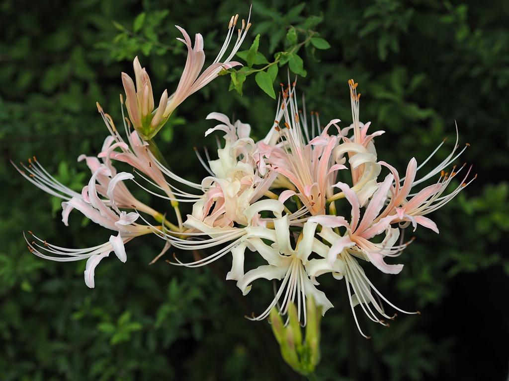 2016 此岸にて ４